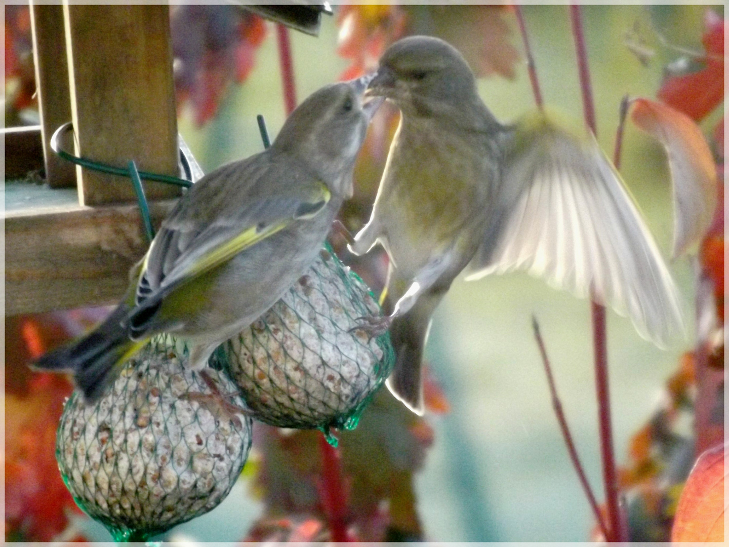 petits gourmands