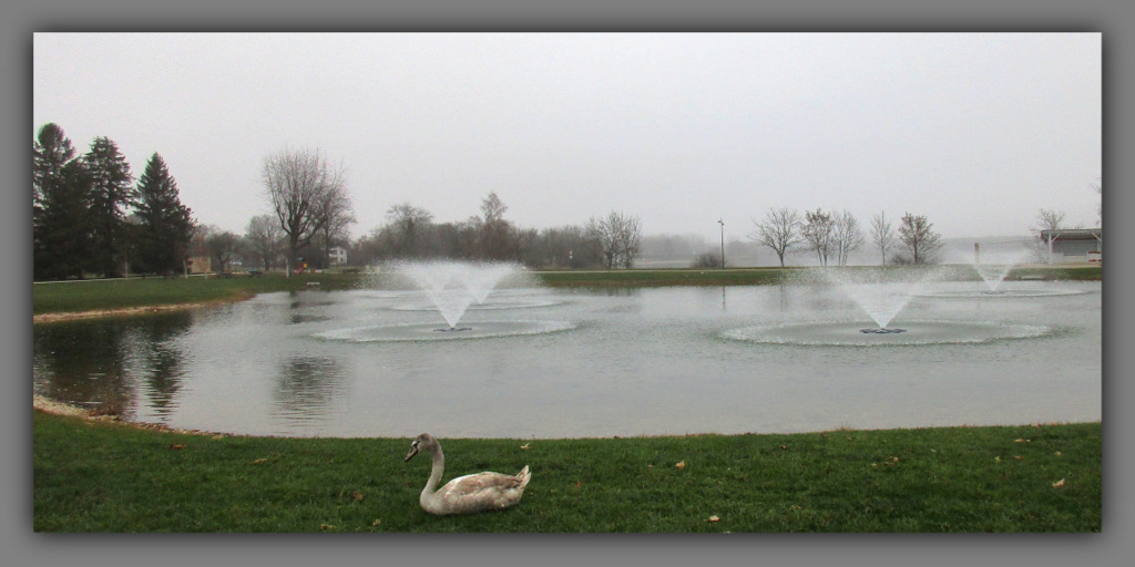 Petits jets d' eau...