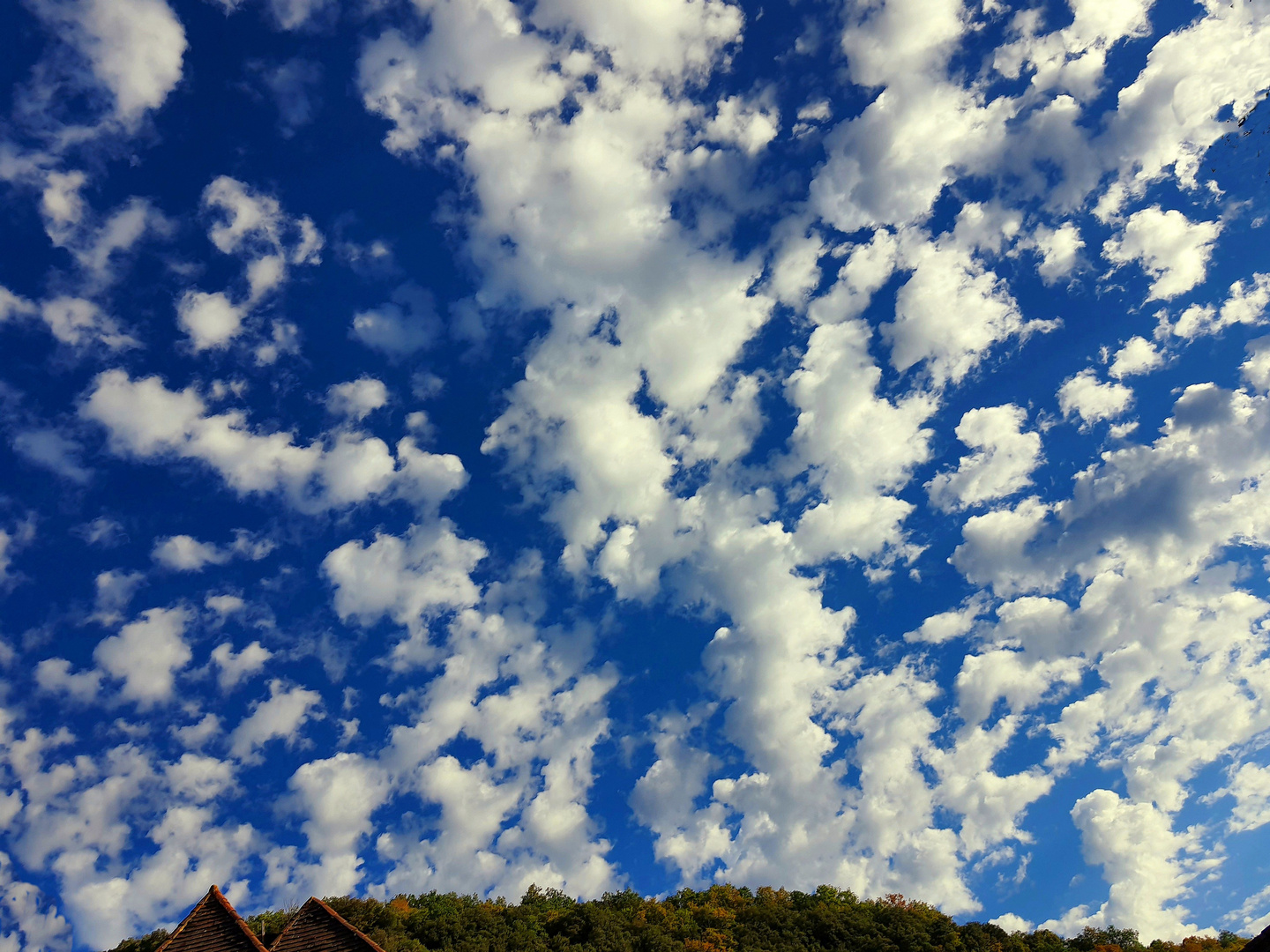 Petits nuages en vadrouille