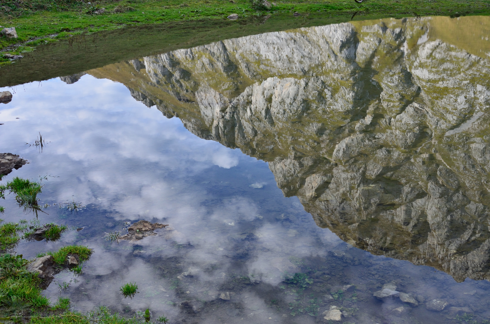 petits nuages et fines herbes