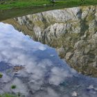 petits nuages et fines herbes