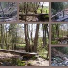 Petits ponts de bois