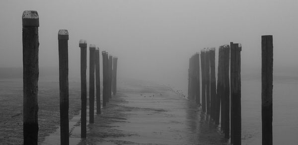 Petkum versinkt im Nebel