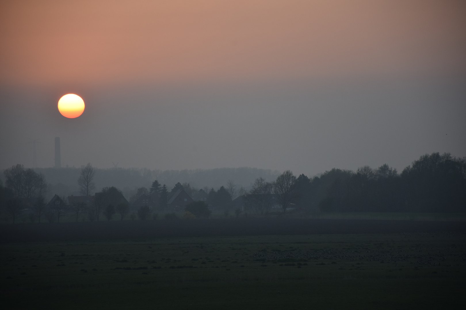 Petkumer Deichvorland Foto & Bild deutschland, europe, niedersachsen
