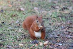 Petra beim Snak