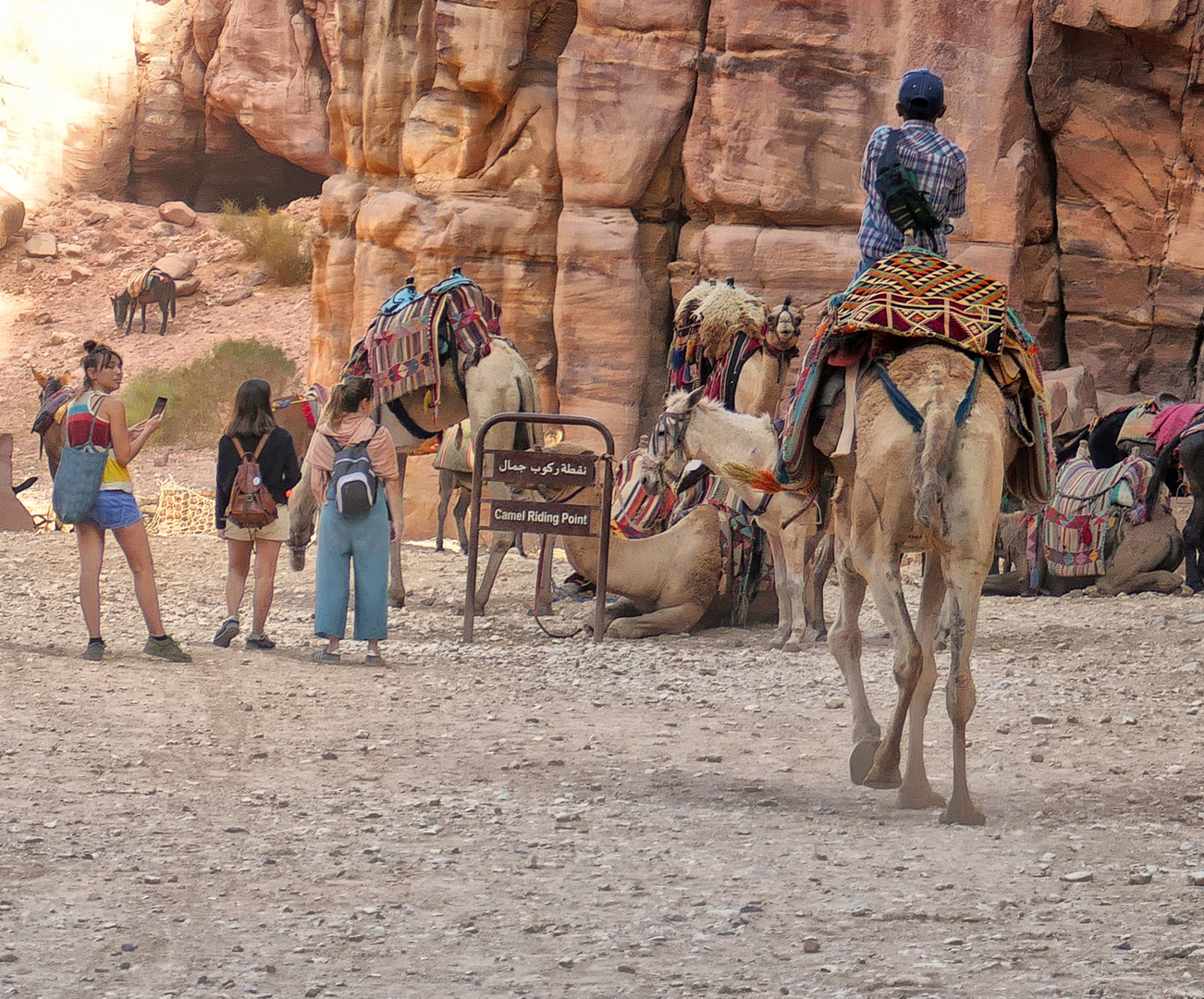 Petra Camel Riding Point App