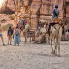 Petra Camel Riding Point App