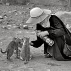 Petra Cats and the Good Samaritan