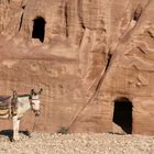 Petra * ein Sterne Hotel mit Transfer