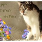 Petra hat Geburtstag 