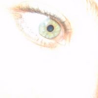 Petra Hauser Fotos Bilder Fotografin Aus Ueberstorf Schweiz