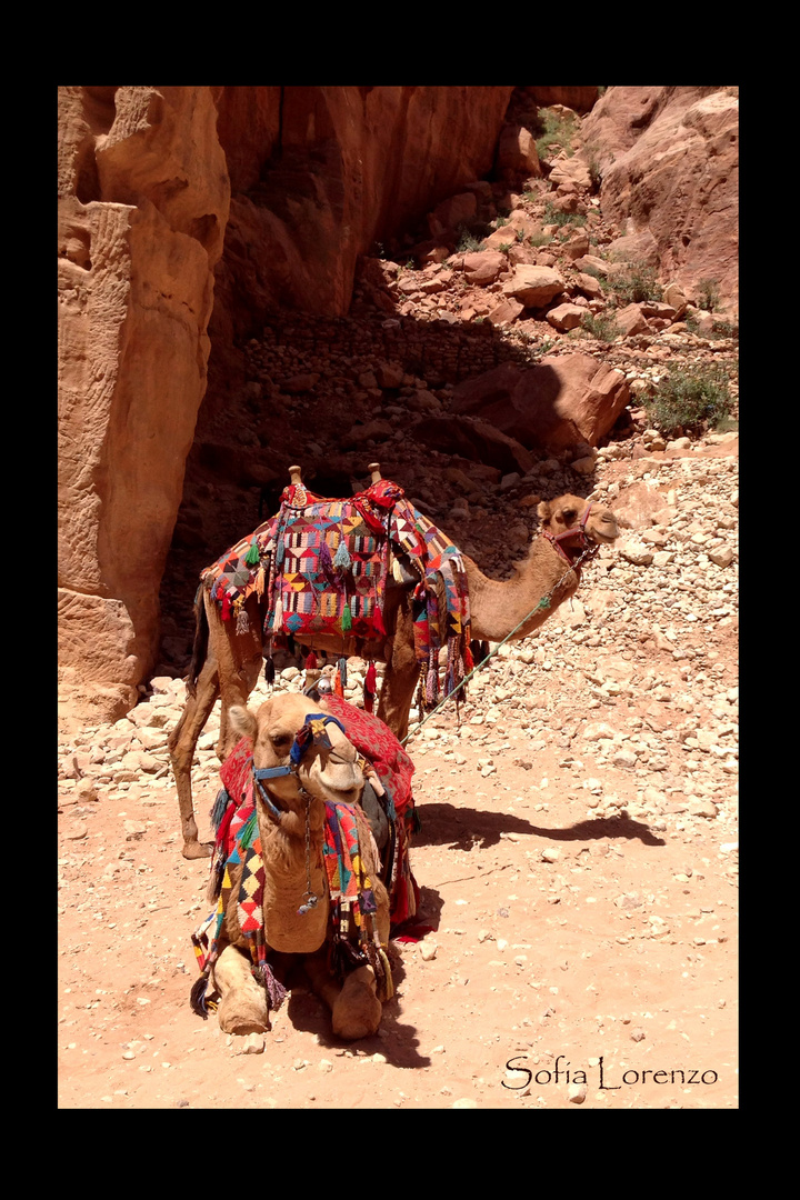 Petra. Jordan