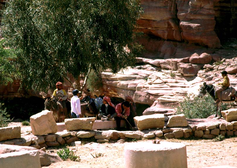 Petra: Maultiertaxistation