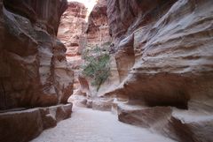 Petra (Wadi Musa) - Siq