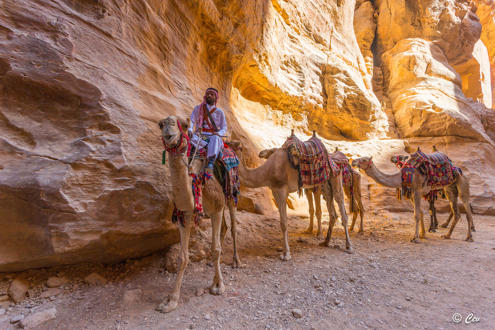 Petra - Warten auf Kundschaft