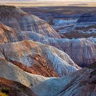 Petrfied Forest and Blue Mesa