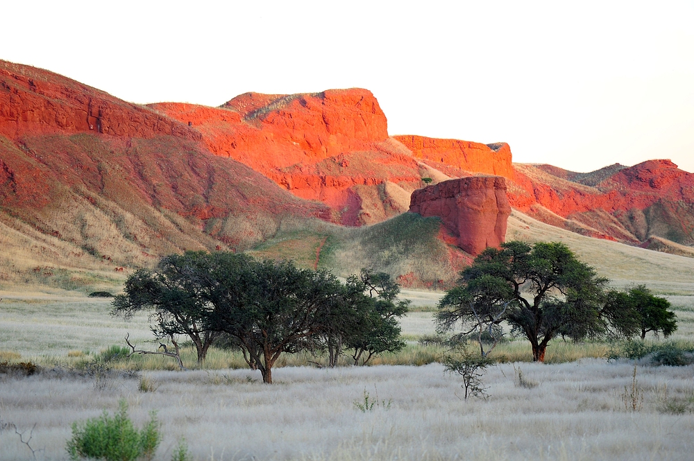 Petrified Dunes - Versteinerte Duenen.