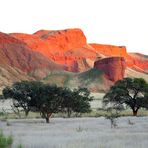 Petrified Dunes - Versteinerte Duenen.