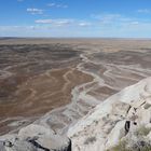 Petrified Forest #2