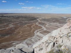 Petrified Forest #2