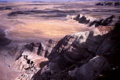 petrified forest 3