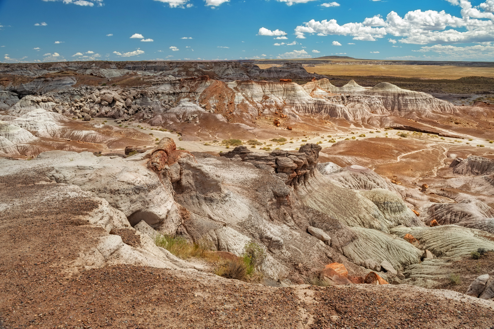 Petrified Forest