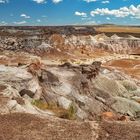 Petrified Forest