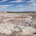 petrified Forest