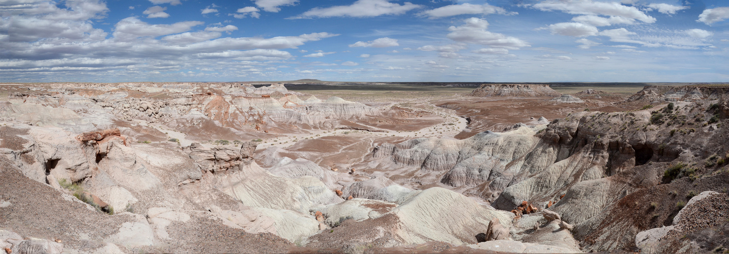 petrified Forest