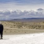 Petrified Forest