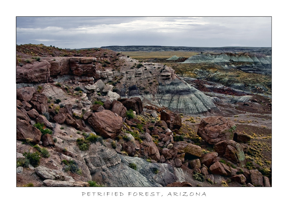 Petrified Forest, Arizona