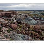 Petrified Forest, Arizona