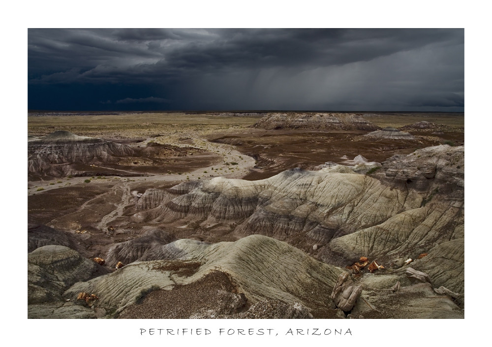 Petrified Forest, Arizona