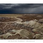 Petrified Forest, Arizona