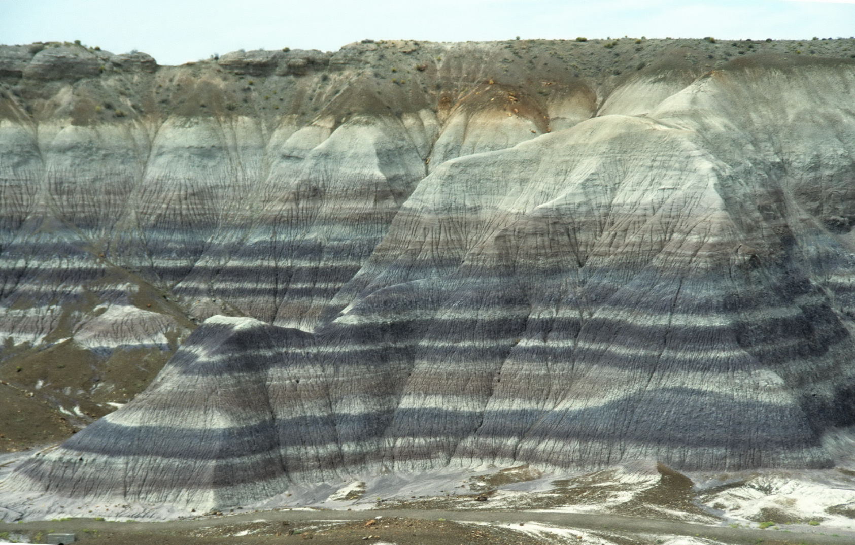 Petrified Forest