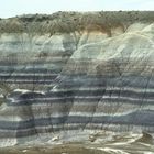 Petrified Forest