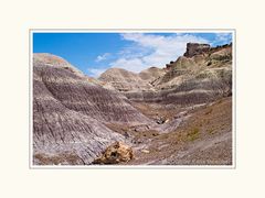 Petrified Forest II