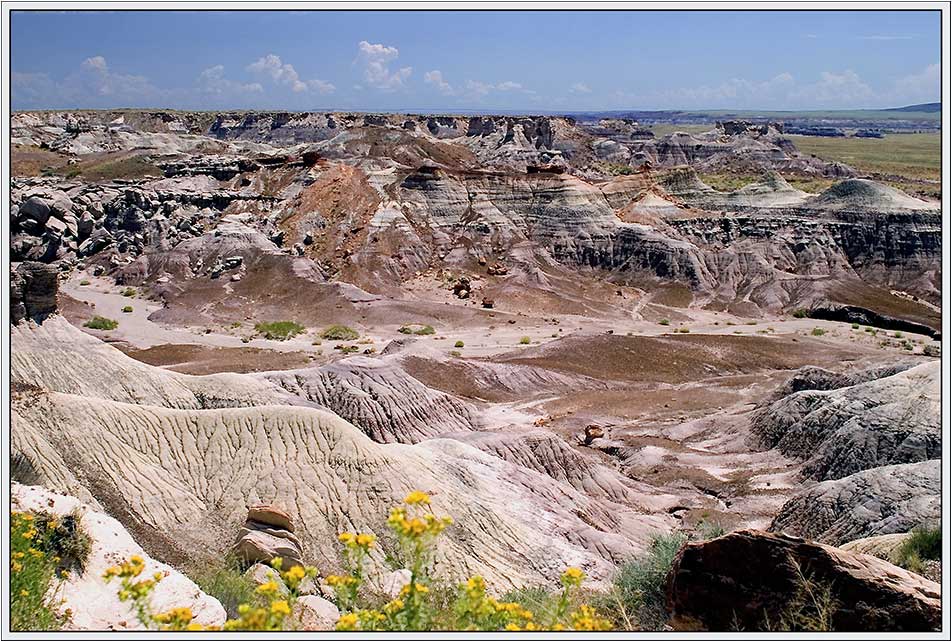 Petrified Forest National Park