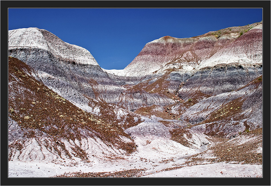 Petrified Forest National Park #2