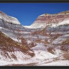 Petrified Forest National Park #2