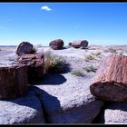 Petrified Forest National Park