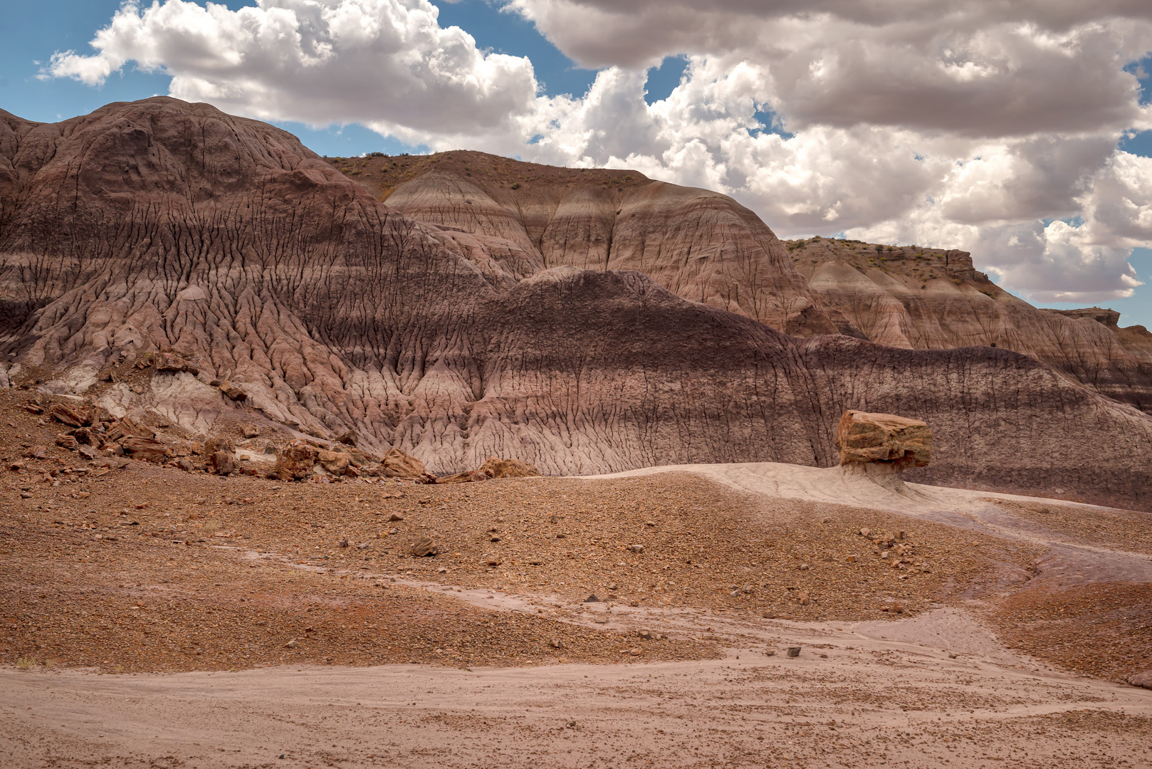 Petrified Forest National Park I