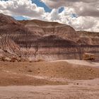 Petrified Forest National Park I