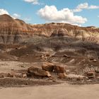 Petrified Forest National Park II