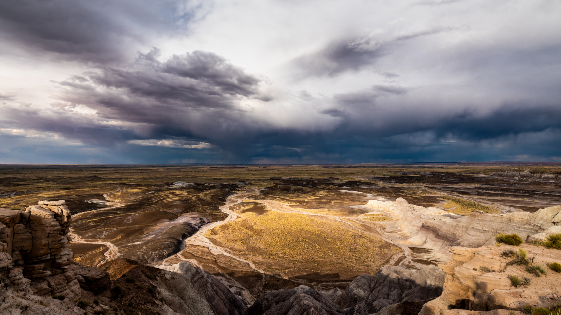 Petrified-Forest-Nationalpark (USA) (2023)