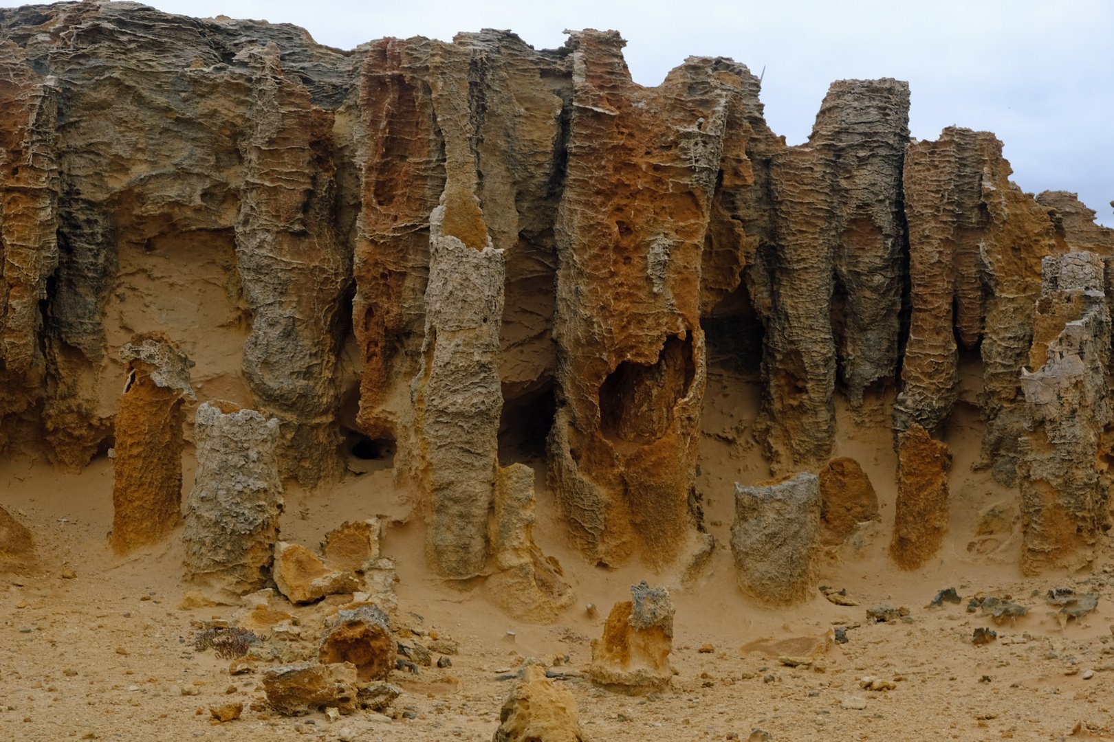 petrified forest near Portland