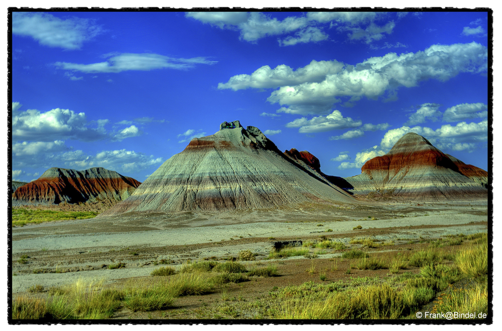 Petrified Forest NP 001