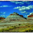 Petrified Forest NP 001