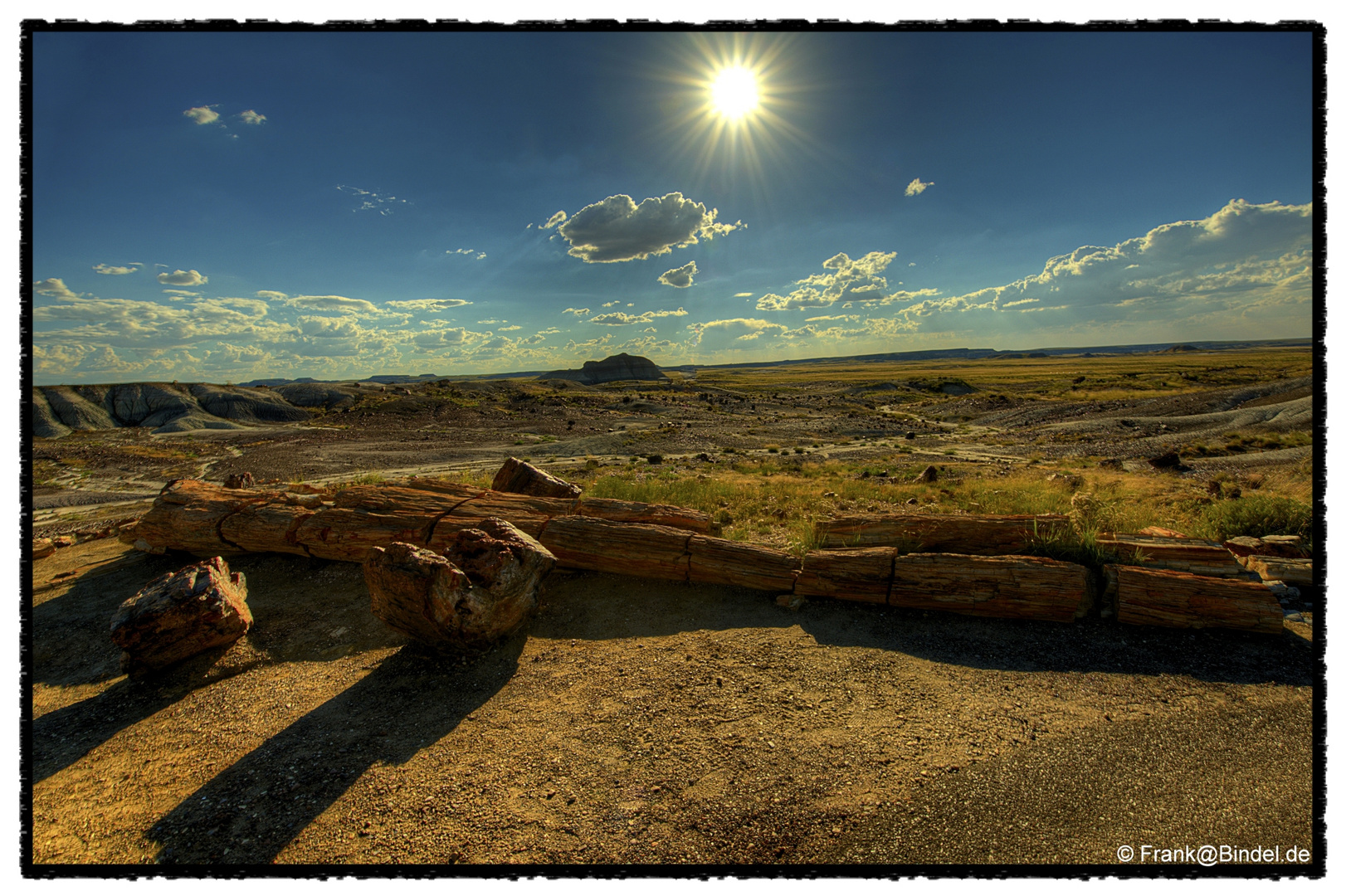 Petrified Forest NP 002