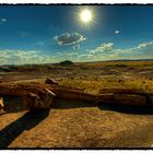 Petrified Forest NP 002